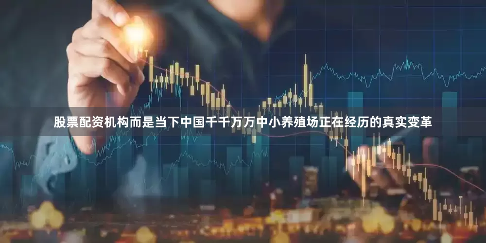 股票配资机构而是当下中国千千万万中小养殖场正在经历的真实变革