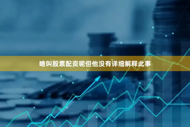 啥叫股票配资呢但他没有详细解释此事
