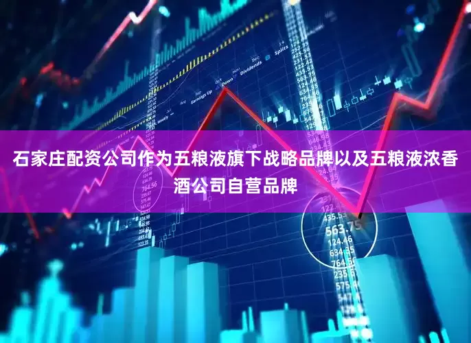 石家庄配资公司作为五粮液旗下战略品牌以及五粮液浓香酒公司自营品牌
